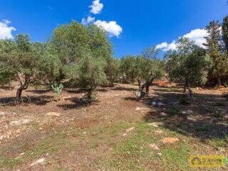 foto immobile Splendida villa con piscina vista mare da realizzare, con Guest House già pronta n. 33