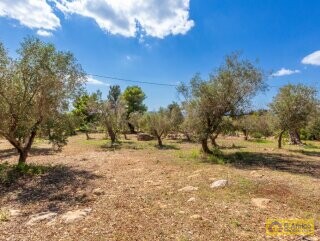 foto immobile Splendida villa con piscina vista mare da realizzare, con Guest House già pronta n. 34