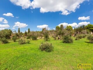 foto immobile Splendida villa con piscina vista mare da realizzare, con Guest House già pronta n. 52