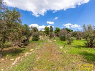 foto immobile Splendida villa con piscina vista mare da realizzare, con Guest House già pronta n. 53