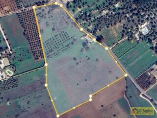 foto immobile Storica Masseria del 1754, con trullo, a Ceglie Messapica n. 21