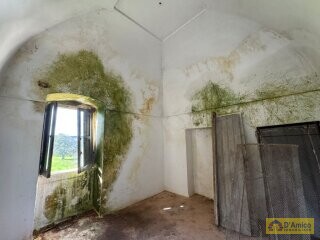 foto immobile Storica Masseria del 1754, con trullo, a Ceglie Messapica n. 10