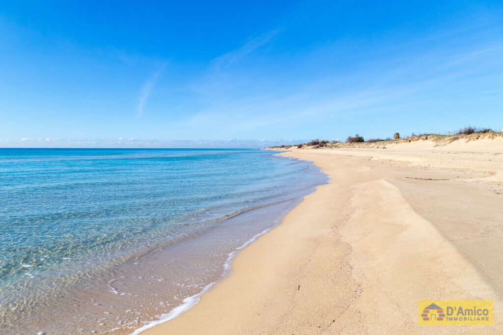 foto immobile Grazioso appartamento indipendente in vendita a Salve n. 9