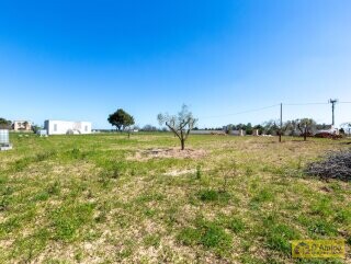 foto immobile Villetta vista mare con piscina, chiavi in mano a Pescoluse n. 14