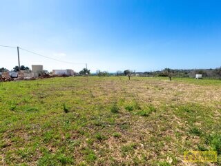 foto immobile Villetta vista mare con piscina, chiavi in mano a Pescoluse n. 16