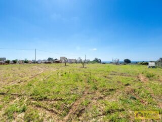 foto immobile Villetta vista mare con piscina, chiavi in mano a Pescoluse n. 17