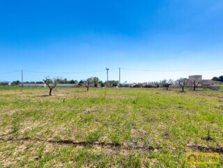 foto immobile Villetta vista mare con piscina, chiavi in mano a Pescoluse n. 18