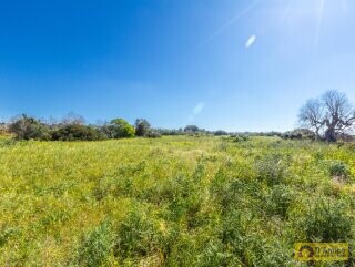 foto immobile Villa vista mare con Piscina, chiavi in mano, a Torre Vado n. 32