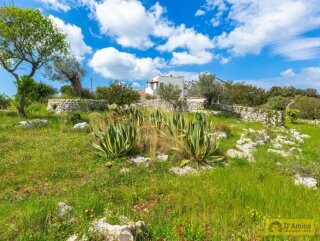 foto immobile Villa vista mare, con Pajara, a Pescoluse n. 27