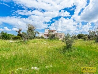 foto immobile Villa vista mare, con Pajara, a Pescoluse n. 28