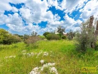 foto immobile Villa vista mare, con Pajara, a Pescoluse n. 30