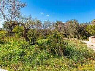 foto immobile Villa vista mare, da ristrutturare, con Lamione e Pajara, a Pescoluse n. 32