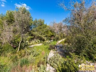 foto immobile Villa vista mare, da ristrutturare, con Lamione e Pajara, a Pescoluse n. 34