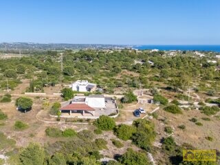 foto immobile Villa rurale con Lamione vista mare, in vendita a Pescoluse n. 6