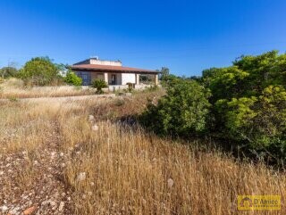 foto immobile Villa rurale con Lamione vista mare, in vendita a Pescoluse n. 2