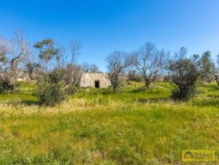 foto immobile Terreno con Progetto di VILLA e Piscina, vista mare, + 2 Lamioni n. 13