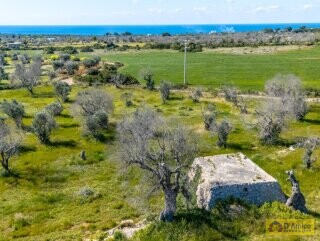 foto immobile Terreno con Progetto di VILLA e Piscina, vista mare, + 2 Lamioni n. 14