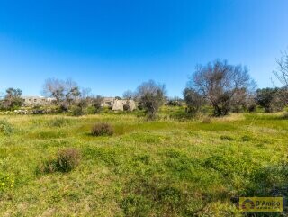 foto immobile Terreno con Progetto di VILLA e Piscina, vista mare, + 2 Lamioni n. 16