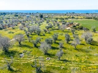 foto immobile Terreno con Progetto di VILLA e Piscina, vista mare, + 2 Lamioni n. 25