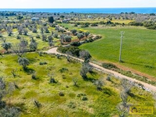 foto immobile Terreno con Progetto di VILLA e Piscina, vista mare, + 2 Lamioni n. 26