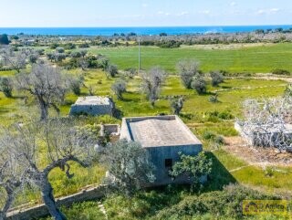 foto immobile Terreno con Progetto di VILLA e Piscina, vista mare, + 2 Lamioni n. 29