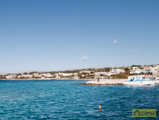 foto immobile Appartamento indipendente a 50mt dal mare di Torre Vado n. 19