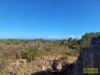 foto immobile Villa vista mare, di nuova Costruzione, tra gli ulivi di Carovigno n. 21