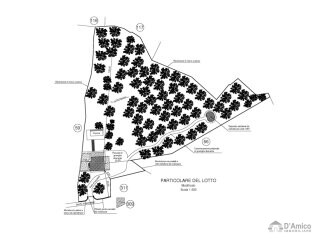 foto immobile Villa vista mare, di nuova Costruzione, tra gli ulivi di Carovigno n. 23