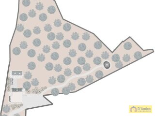 foto immobile Villa vista mare, di nuova Costruzione, tra gli ulivi di Carovigno n. 24