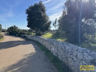 foto immobile Ampia e Moderna Villa con Piscina a Carovigno n. 12