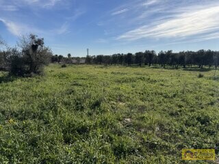 foto immobile Ampia e Moderna Villa con Piscina a Carovigno n. 19