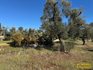 foto immobile Moderna Villa con Piscina, vista mare in costruzione n. 17