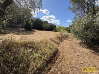 foto immobile Progetto per villa moderna con piscina e antichi trulli ad Ostuni n. 24