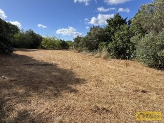 foto immobile Progetto per villa moderna con piscina e antichi trulli ad Ostuni n. 25