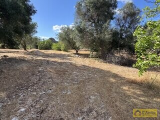 foto immobile Progetto per villa moderna con piscina e antichi trulli ad Ostuni n. 26