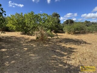 foto immobile Progetto per villa moderna con piscina e antichi trulli ad Ostuni n. 28