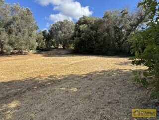 foto immobile Progetto per villa moderna con piscina e antichi trulli ad Ostuni n. 30