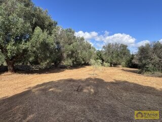 foto immobile Progetto per villa moderna con piscina e antichi trulli ad Ostuni n. 37