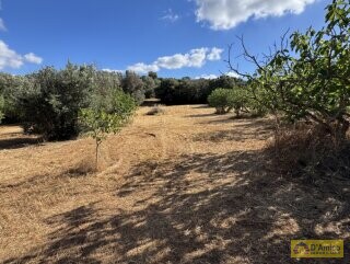 foto immobile Progetto per villa moderna con piscina e antichi trulli ad Ostuni n. 38