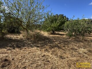 foto immobile Progetto per villa moderna con piscina e antichi trulli ad Ostuni n. 39