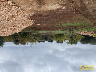 foto immobile Progetto per villa moderna con piscina e antichi trulli ad Ostuni n. 23