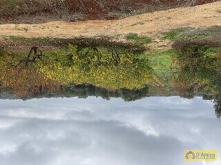 foto immobile Progetto per villa moderna con piscina e antichi trulli ad Ostuni n. 25