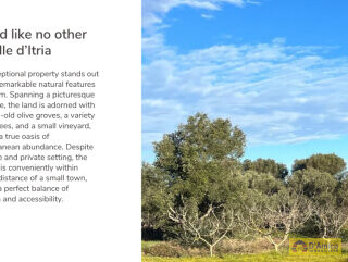 foto immobile Progetto per villa moderna con piscina e antichi trulli ad Ostuni n. 3