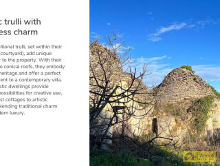 foto immobile Progetto per villa moderna con piscina e antichi trulli ad Ostuni n. 6
