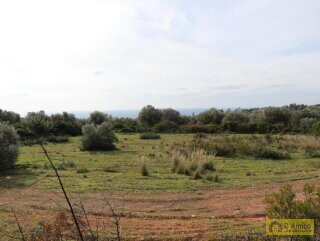 foto immobile Terreno Vista Mare con Autorizzazioni per Luminosa Villa con Piscina n. 15