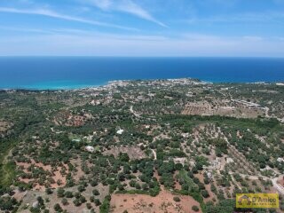 foto immobile Terreno Vista Mare con Autorizzazioni per Luminosa Villa con Piscina n. 20