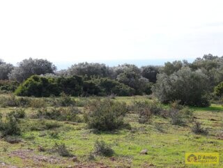 foto immobile Terreno Vista Mare con Autorizzazioni per Luminosa Villa con Piscina n. 11