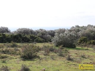 foto immobile Terreno Vista Mare con Autorizzazioni per Luminosa Villa con Piscina n. 12
