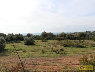 foto immobile Terreno Vista Mare con Autorizzazioni per Luminosa Villa con Piscina n. 14