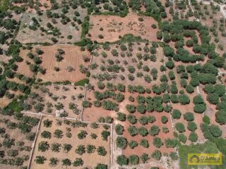 foto immobile Terreno Vista Mare con Autorizzazioni per Luminosa Villa con Piscina n. 18